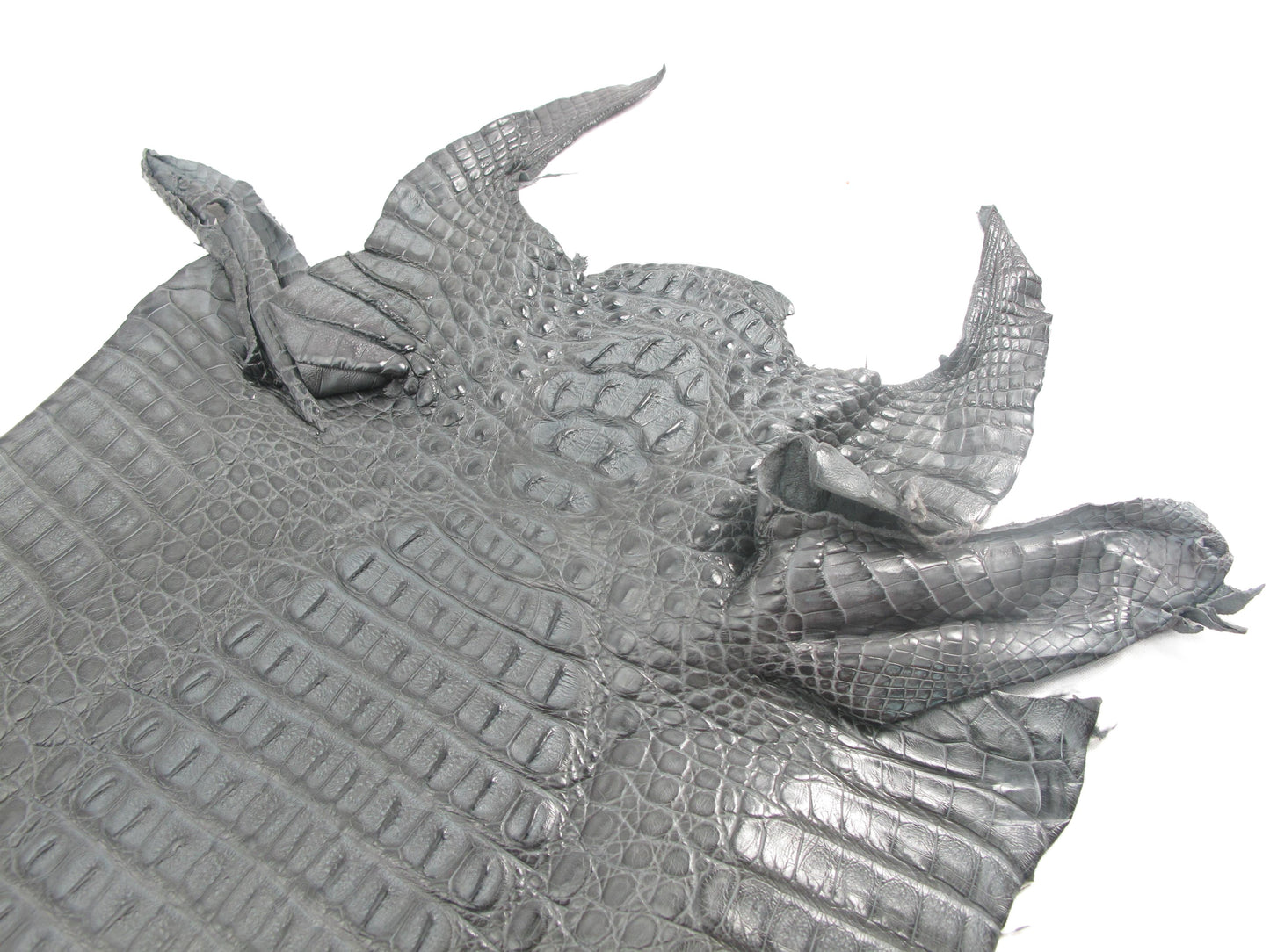 Genuine Caiman Crocodile Hornback Skin Leather Hide Pelt