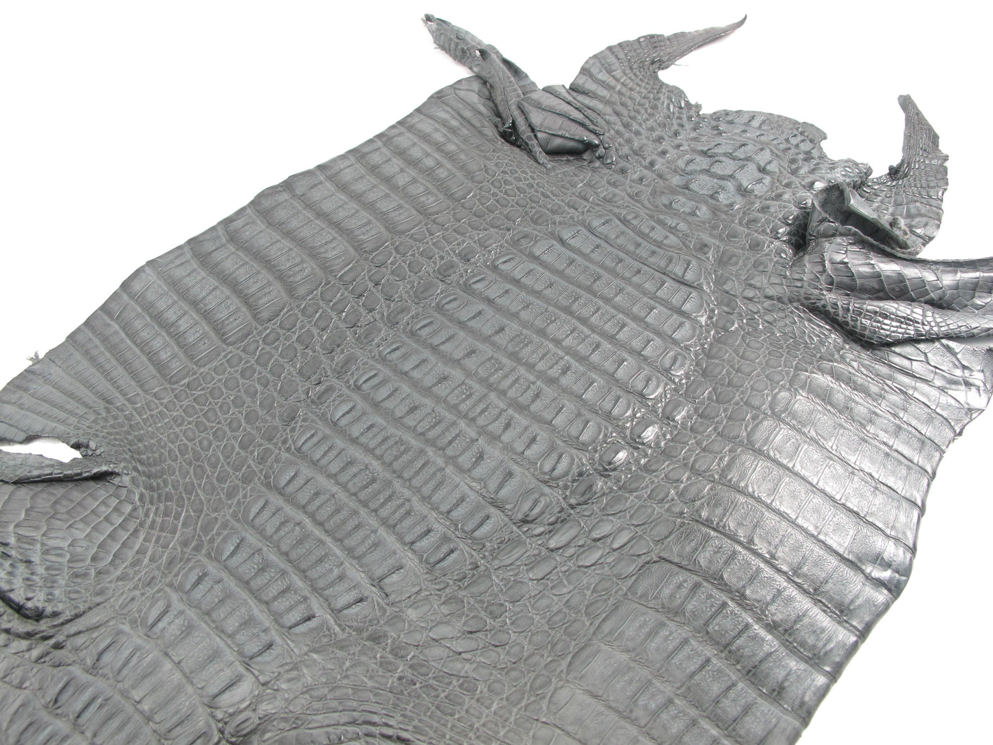 Genuine Caiman Crocodile Hornback Skin Leather Hide Pelt