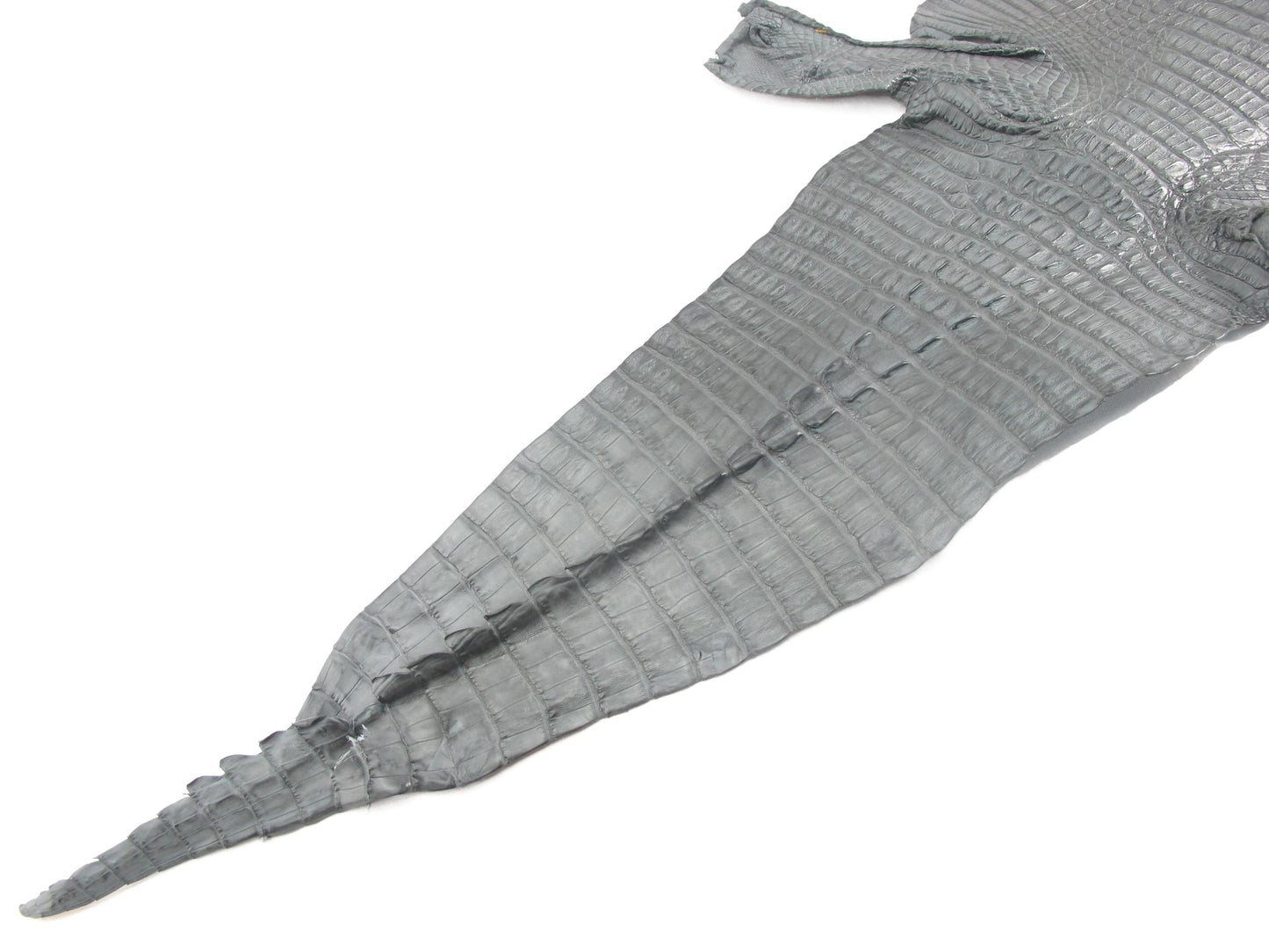 Genuine Caiman Crocodile Hornback Skin Leather Hide Pelt