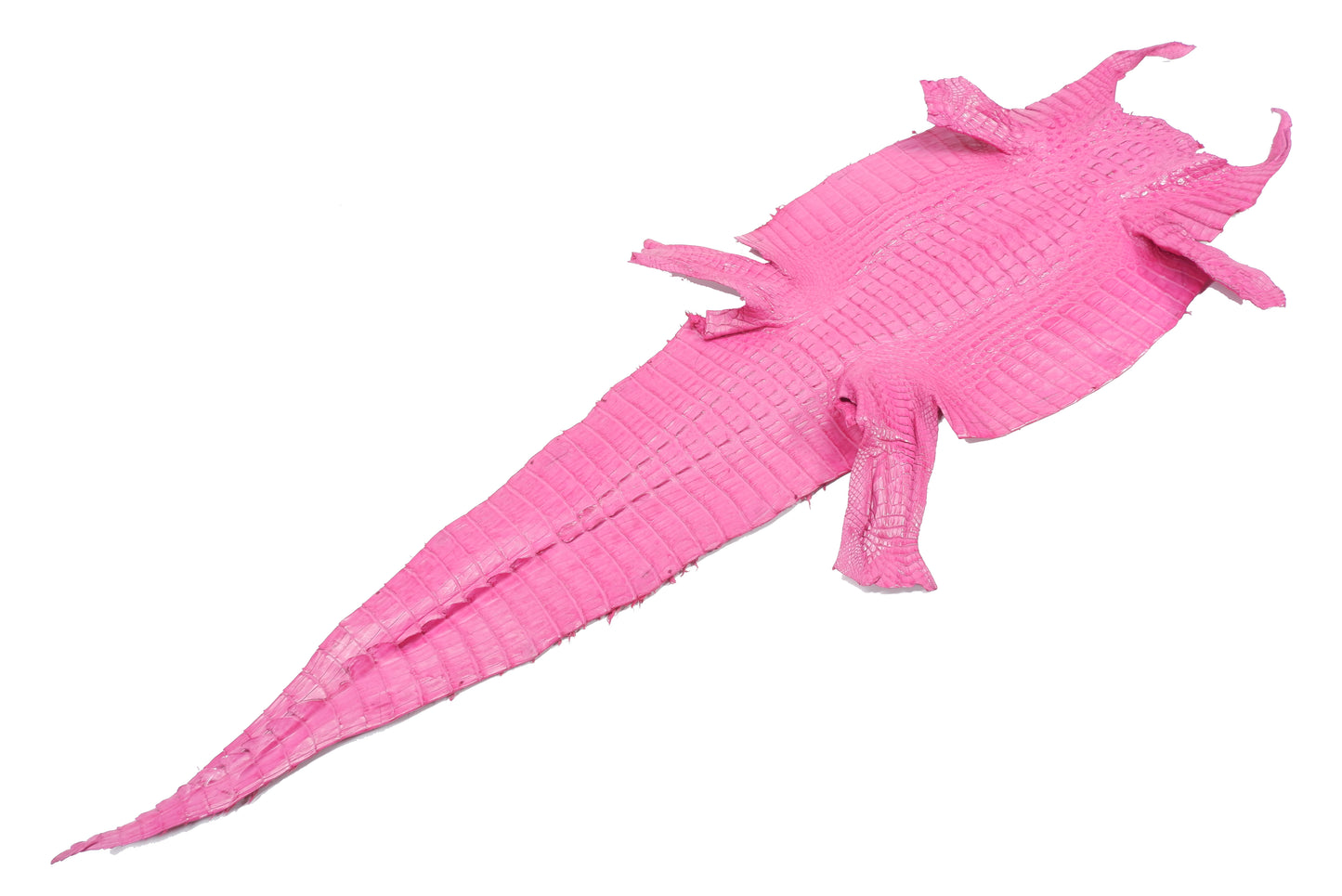 Genuine Caiman Crocodile Hornback Skin Leather Hide Pelt