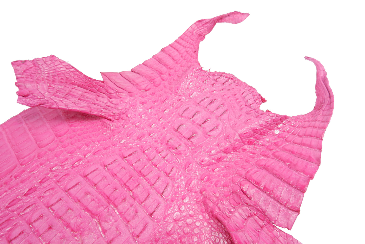 Genuine Caiman Crocodile Hornback Skin Leather Hide Pelt