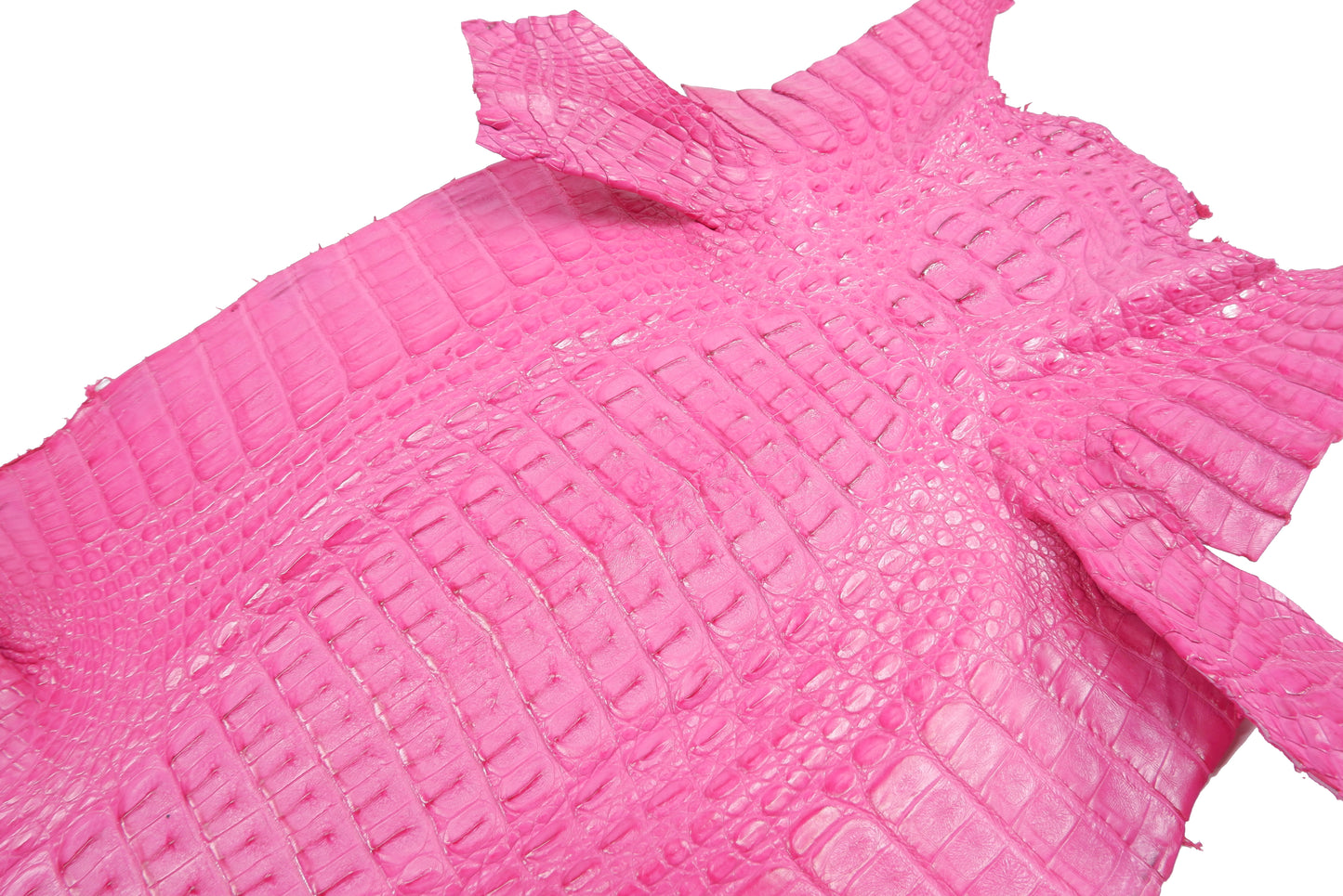 Genuine Caiman Crocodile Hornback Skin Leather Hide Pelt