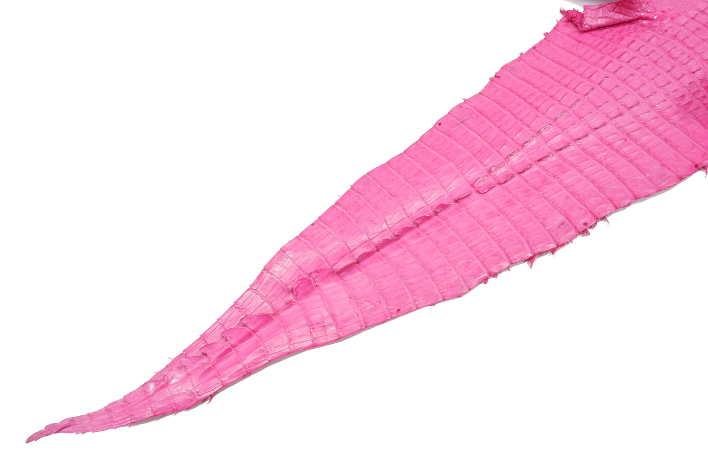 Genuine Caiman Crocodile Hornback Skin Leather Hide Pelt