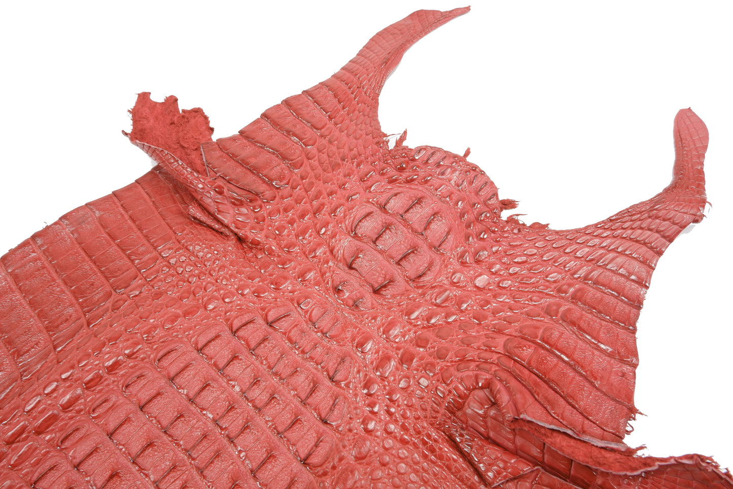 Genuine Caiman Crocodile Hornback Skin Leather Hide Pelt