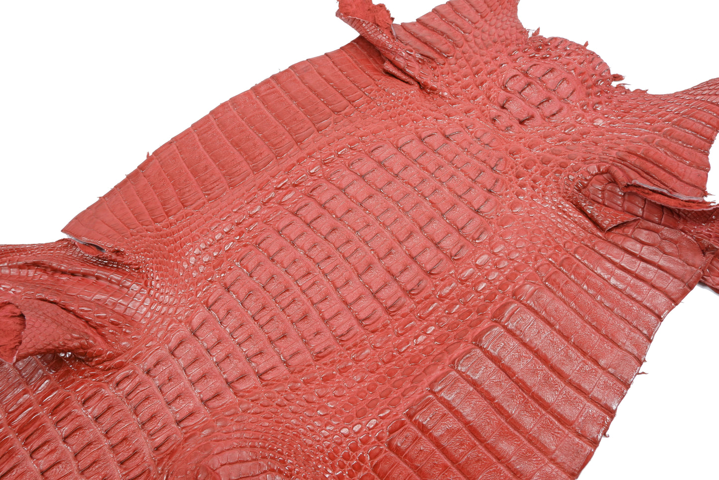Genuine Caiman Crocodile Hornback Skin Leather Hide Pelt