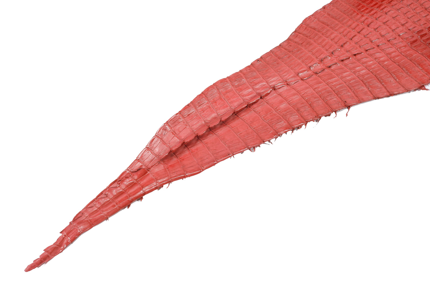 Genuine Caiman Crocodile Hornback Skin Leather Hide Pelt