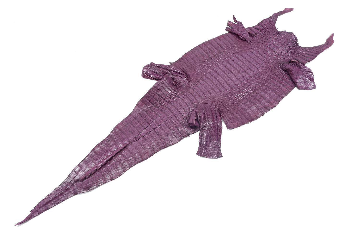 Genuine Caiman Crocodile Hornback Skin Leather Hide Pelt