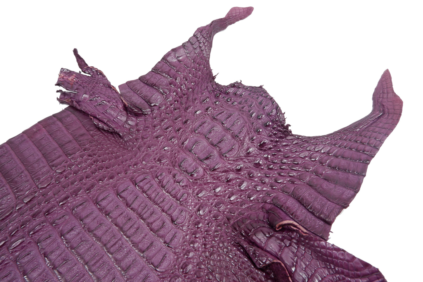 Genuine Caiman Crocodile Hornback Skin Leather Hide Pelt