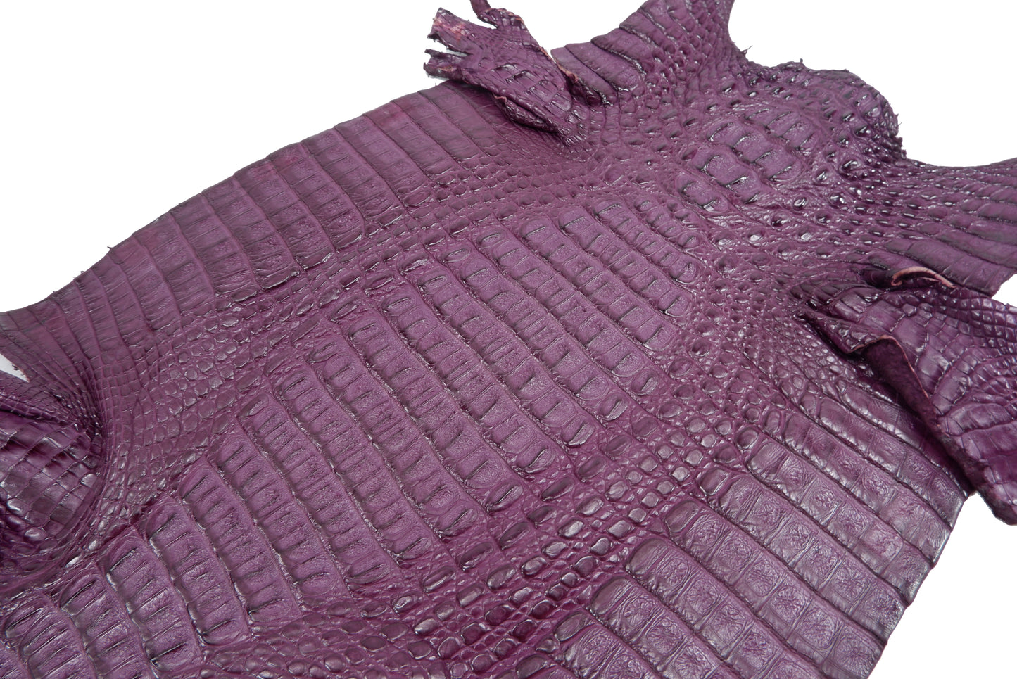 Genuine Caiman Crocodile Hornback Skin Leather Hide Pelt
