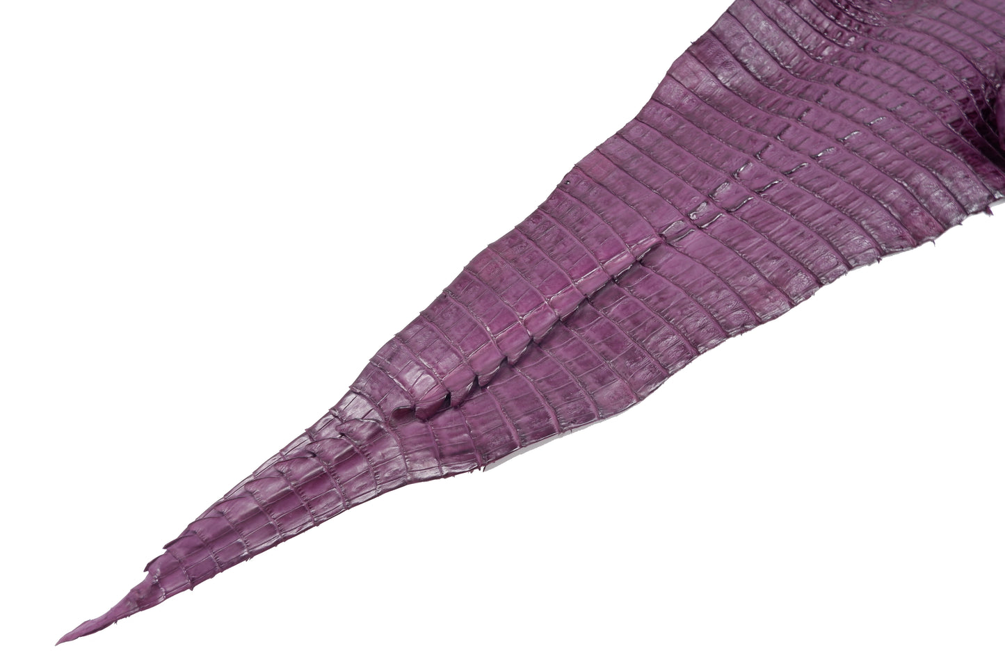 Genuine Caiman Crocodile Hornback Skin Leather Hide Pelt