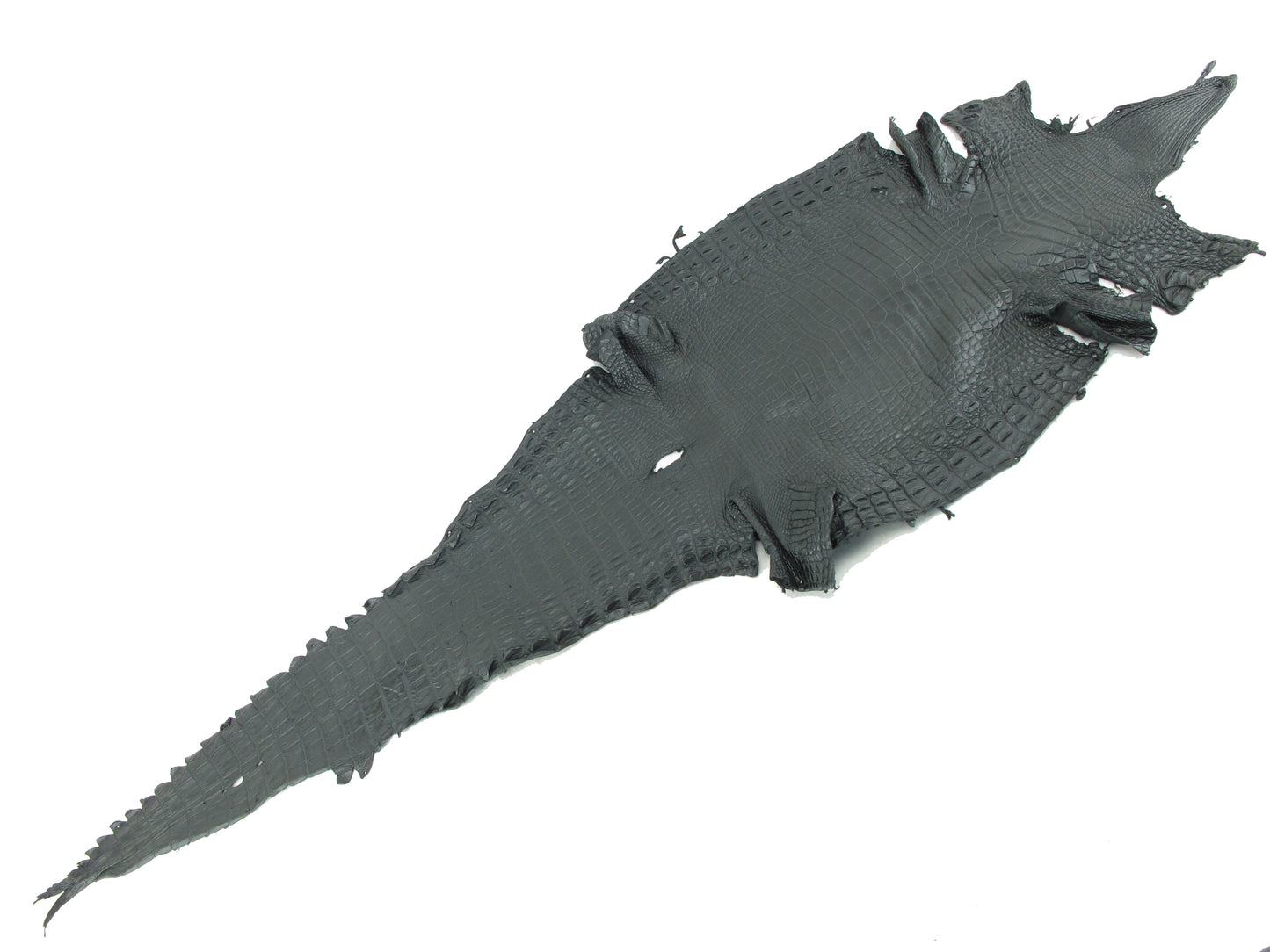 Genuine Crocodile Belly Skin Leather Hide Pelt