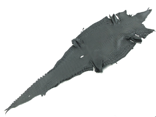 Genuine Crocodile Belly Skin Leather Hide Pelt