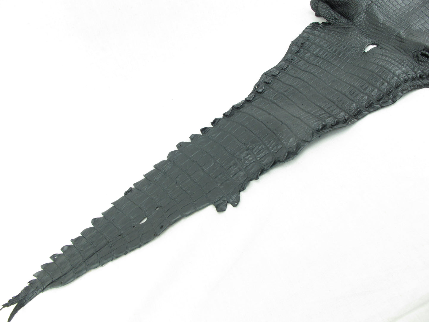 Genuine Crocodile Belly Skin Leather Hide Pelt