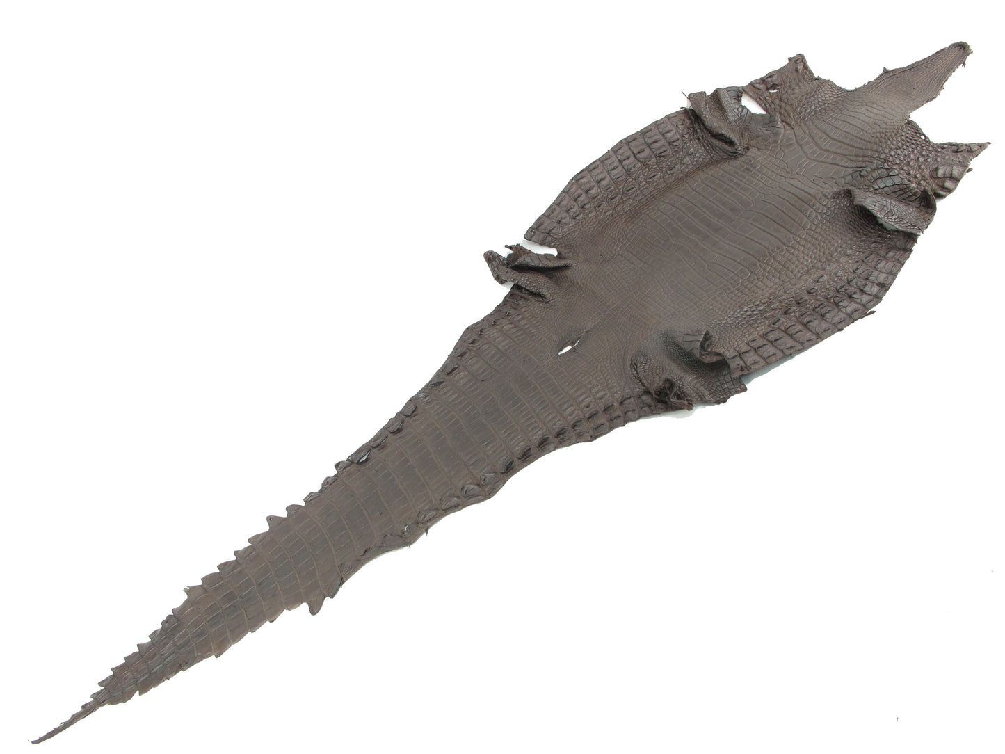 Genuine Crocodile Belly Skin Leather Hide Pelt