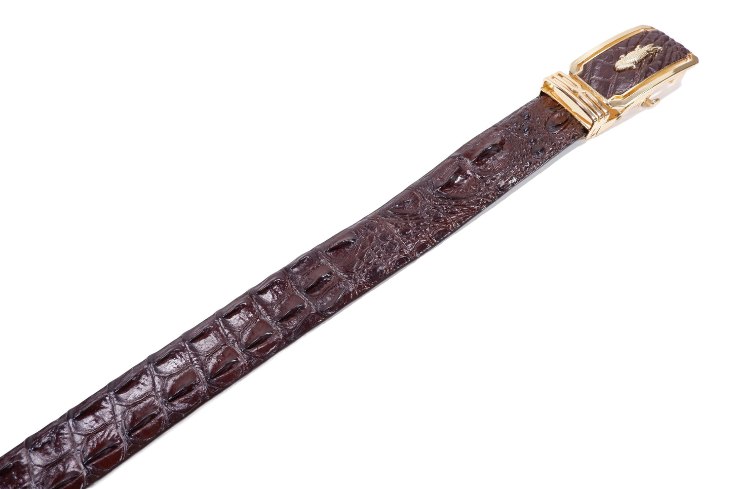 Genuine Crocodile Double Backbone Skin Leather Auto Locking Men's Belt