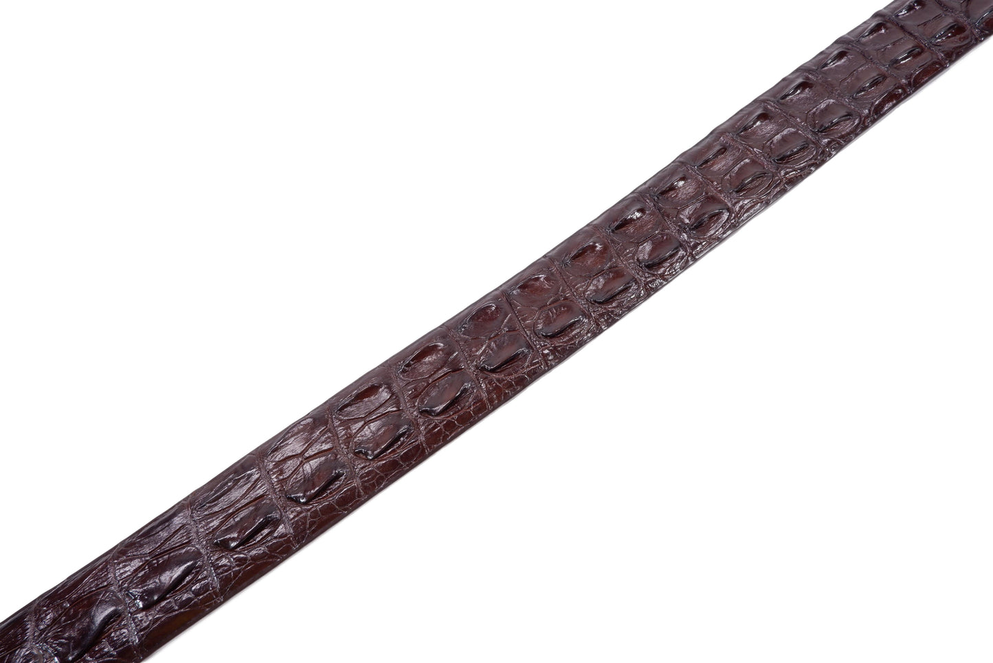 Genuine Crocodile Double Backbone Skin Leather Auto Locking Men's Belt