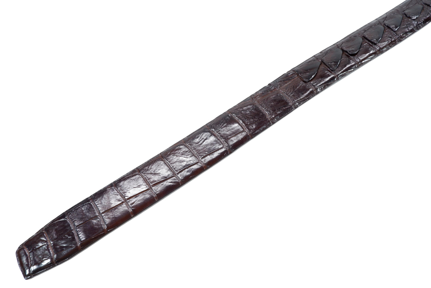 Genuine Crocodile Double Backbone Skin Leather Auto Locking Men's Belt