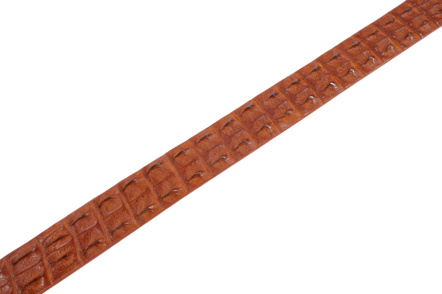 Genuine Crocodile Double Hornback Skin Leather Luxury Casual Men's Belt