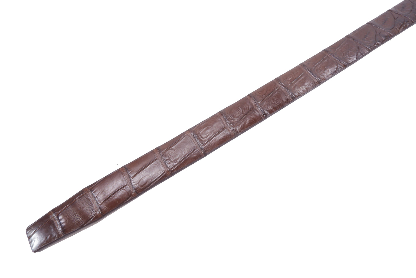 Genuine Crocodile Single Backbone Skin Leather Women's Belt