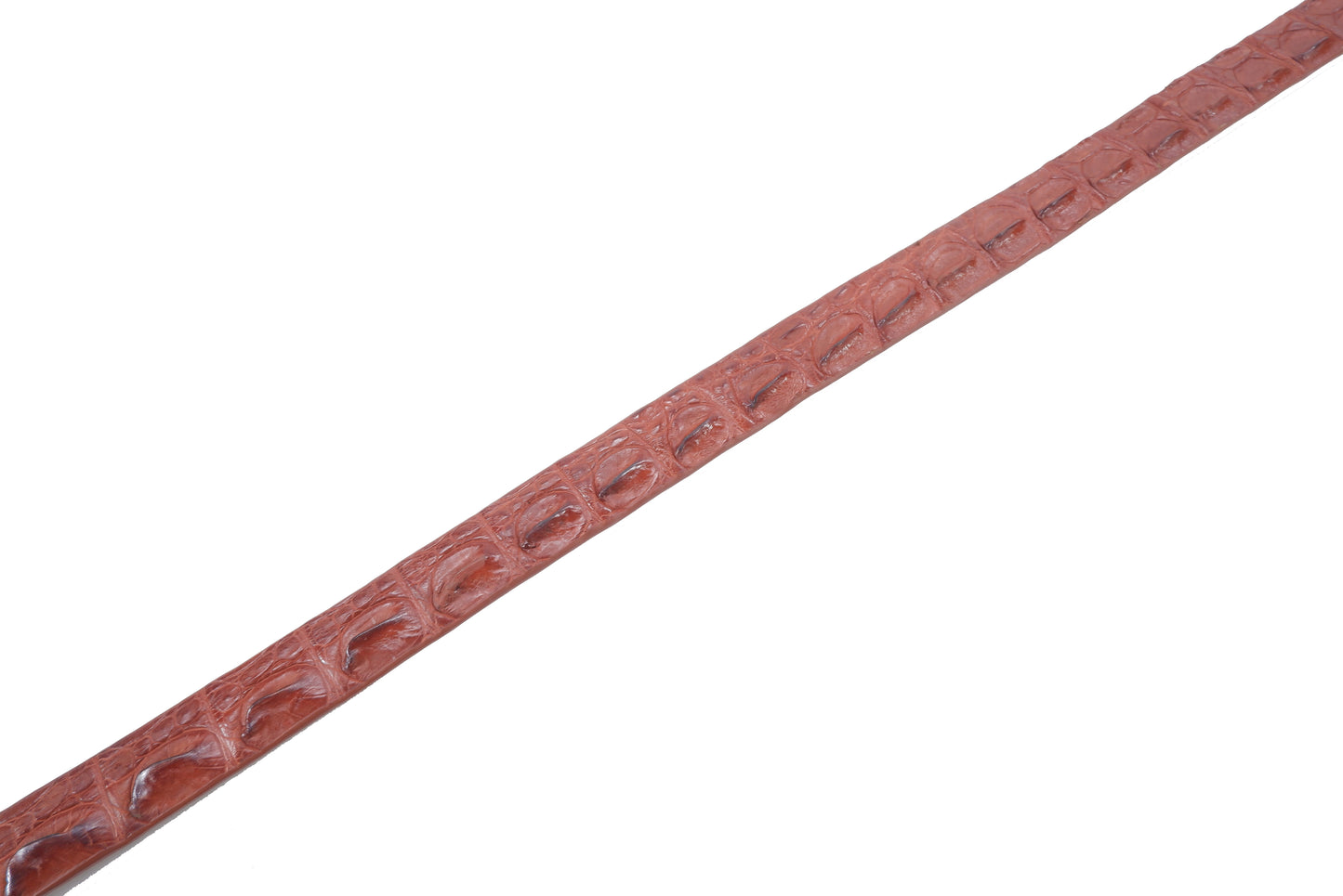 Genuine Crocodile Single Backbone Skin Leather Women's Belt