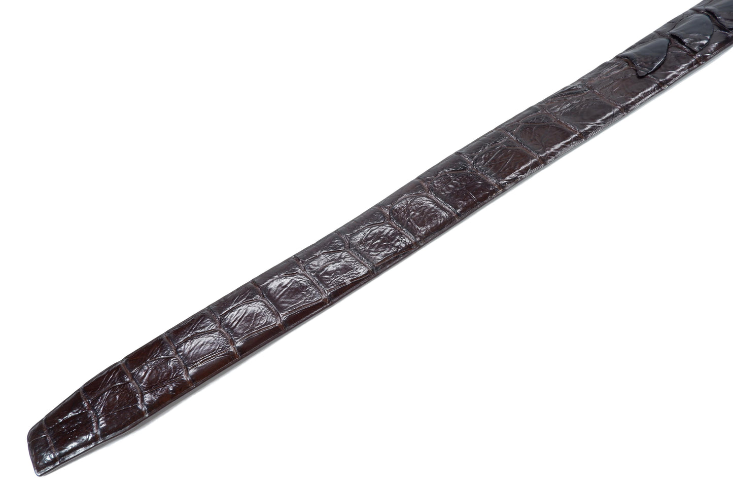 Genuine Crocodile Single Backbone Skin Leather Auto Locking Men's Belt