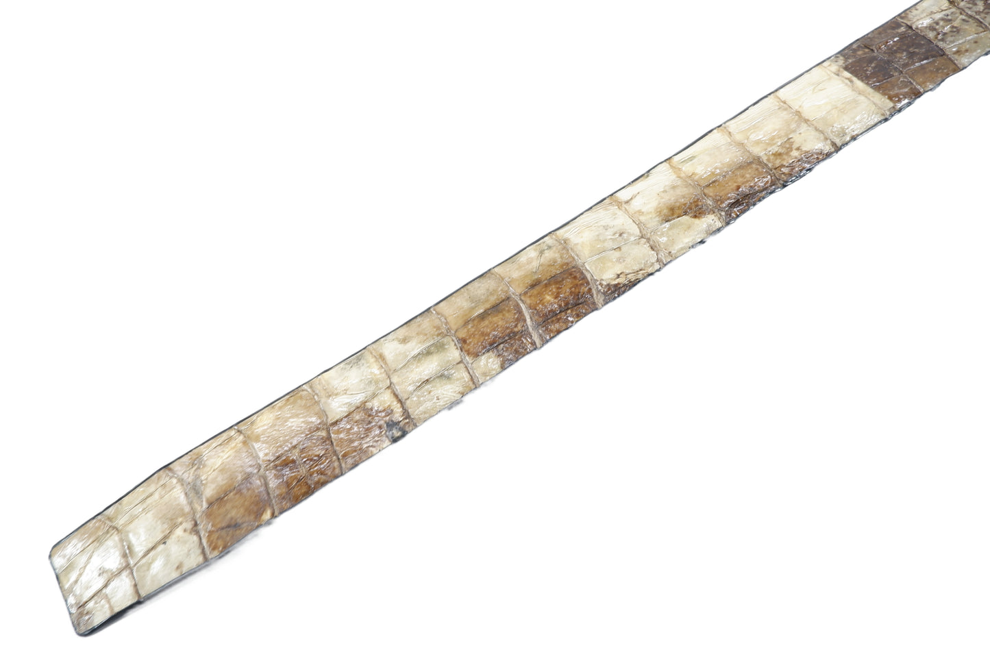 Genuine Crocodile Single Backbone Skin Leather Auto Locking Men's Belt