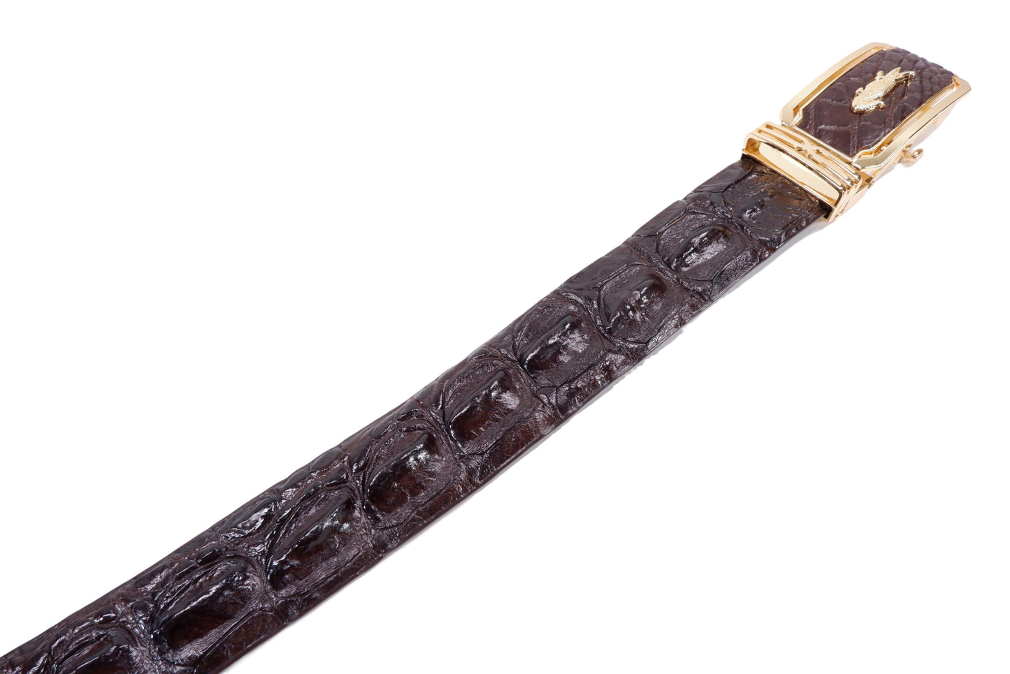 Genuine Crocodile Tail Skin Leather Auto Locking Men's Belt