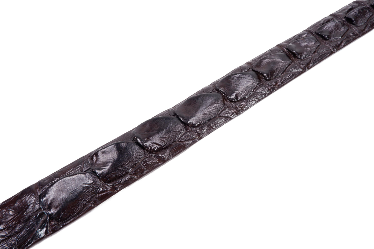 Genuine Crocodile Tail Skin Leather Auto Locking Men's Belt