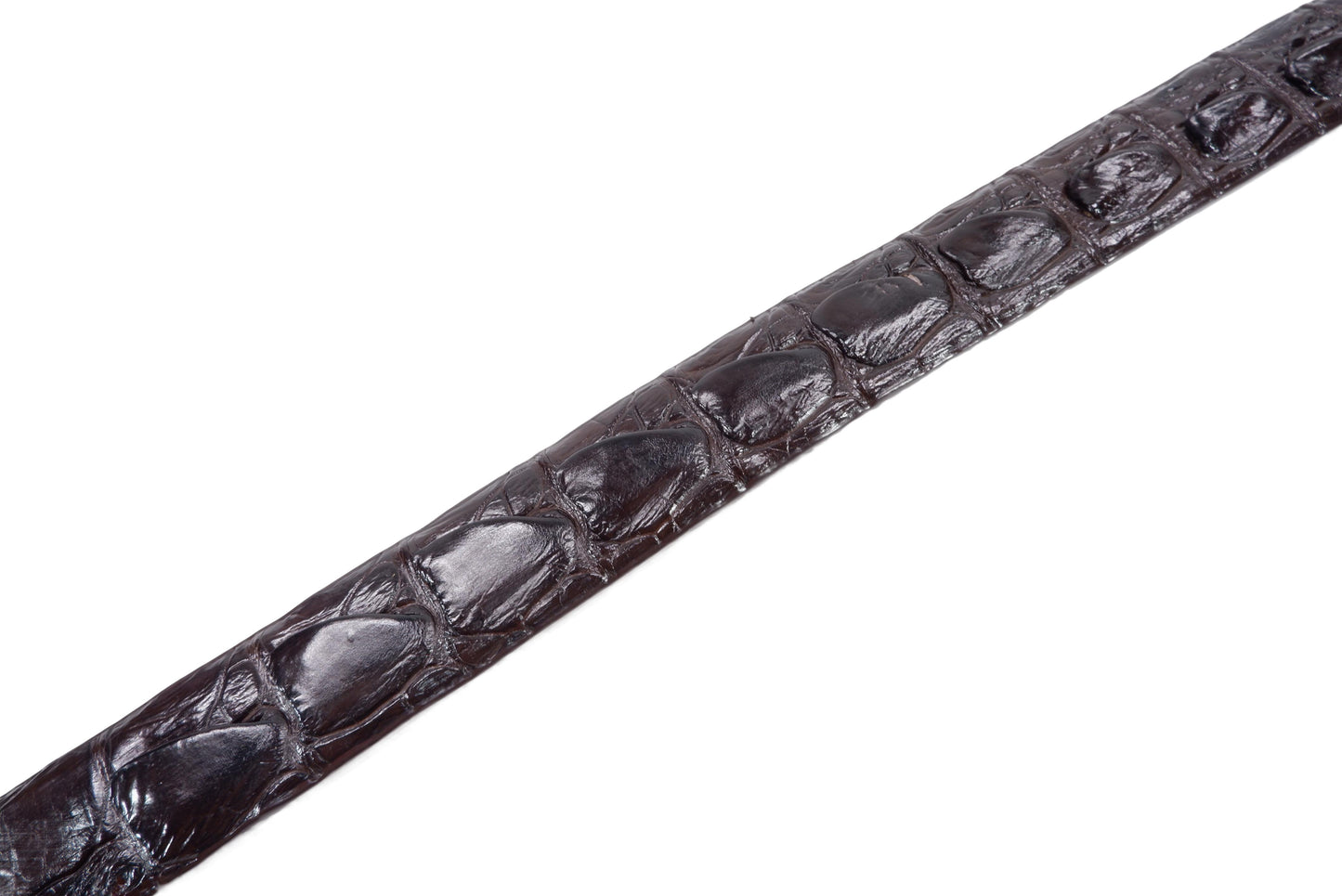 Genuine Crocodile Tail Skin Leather Auto Locking Men's Belt