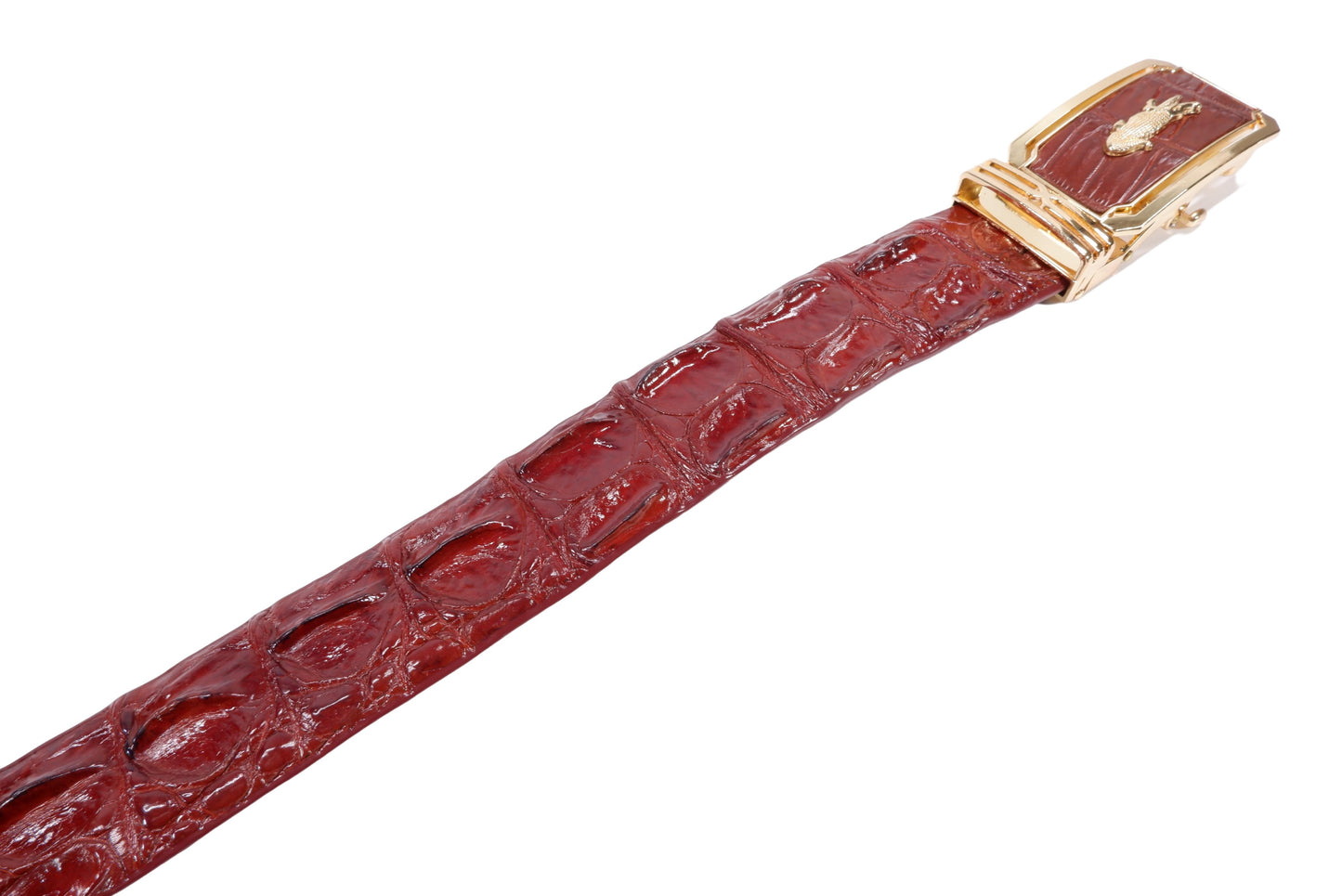 Genuine Crocodile Tail Skin Leather Auto Locking Men's Belt