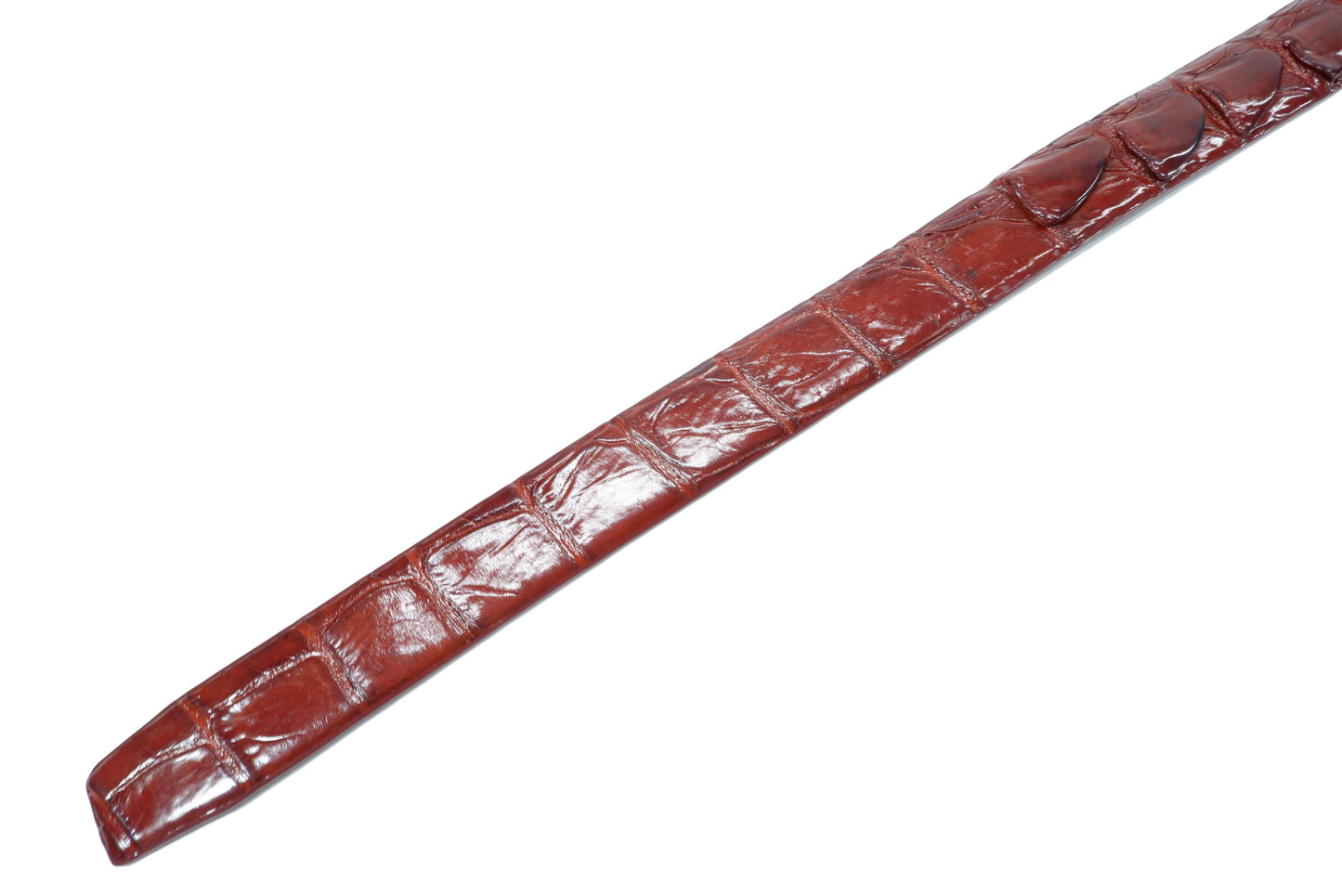 Genuine Crocodile Tail Skin Leather Auto Locking Men's Belt