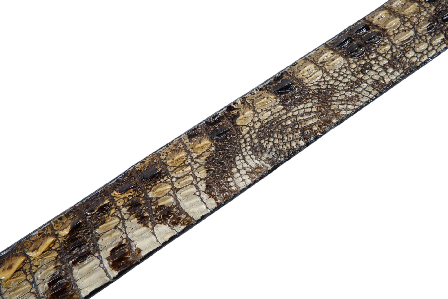 Genuine Crocodile Skin Leather Auto Locking Men's Belt