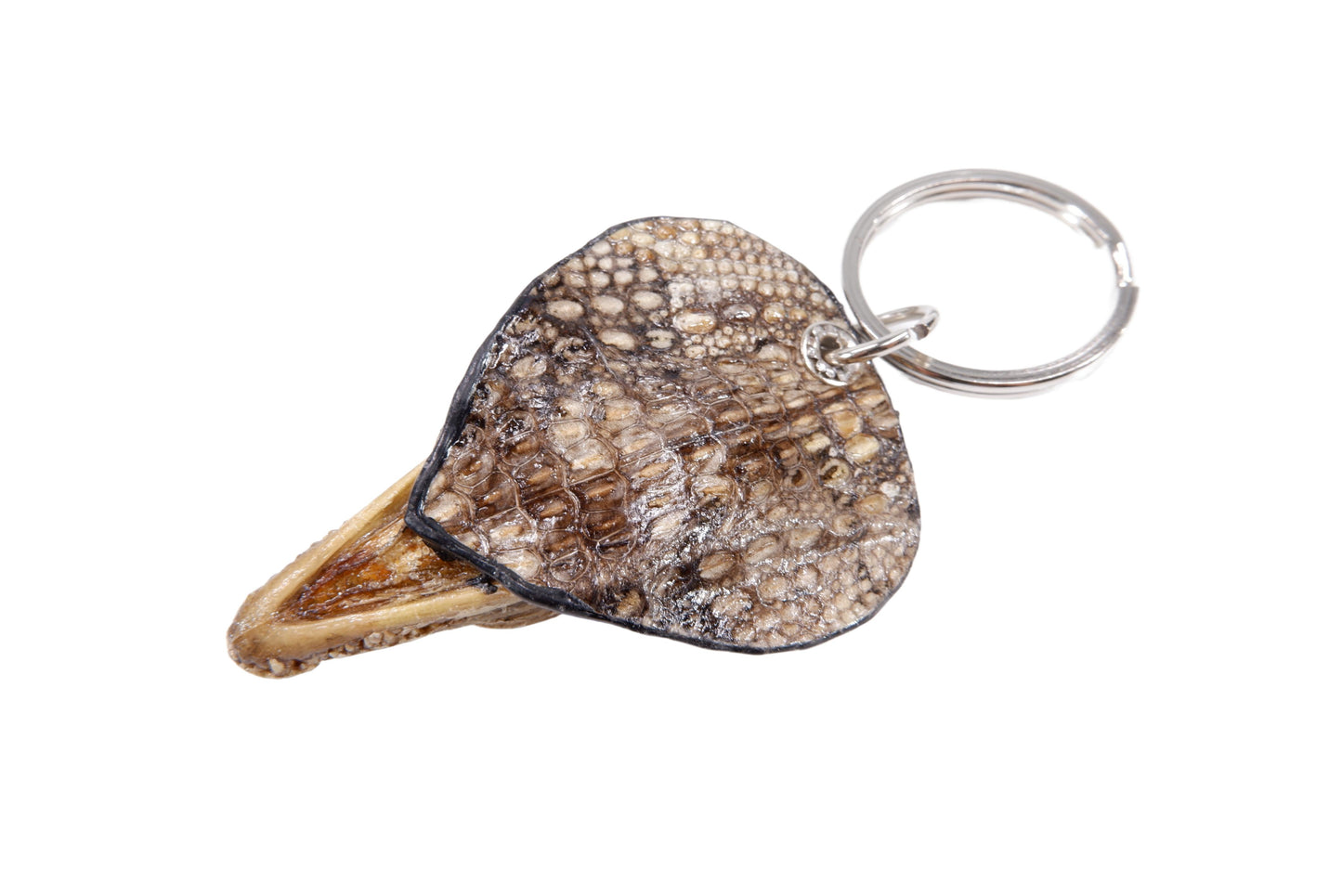 Genuine Crocodile Skin Leather Head Key Ring Keychain Holder
