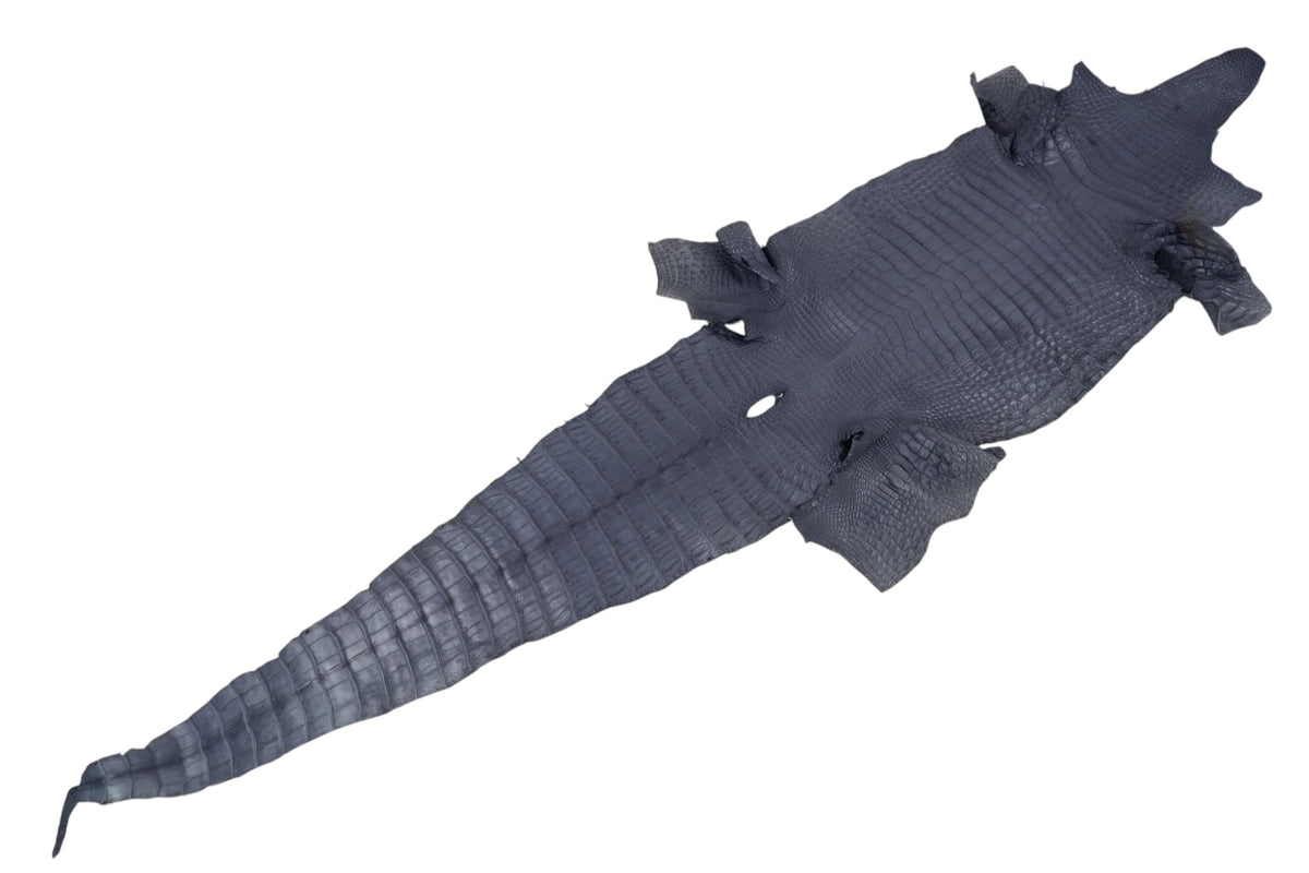 Genuine Crocodile Belly Skin Leather Hide Pelt