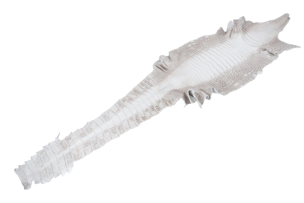 Genuine Crocodile Belly Skin Leather Hide Pelt