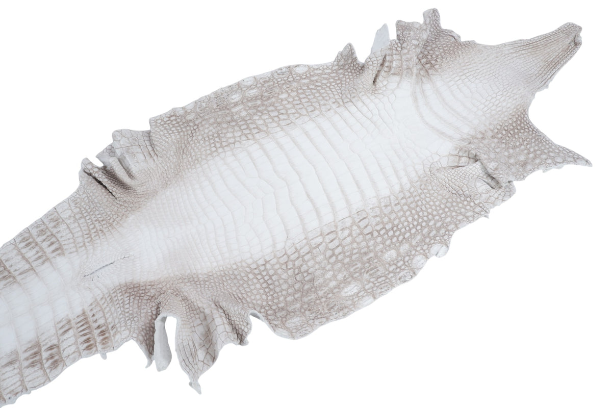 Genuine Crocodile Belly Skin Leather Hide Pelt
