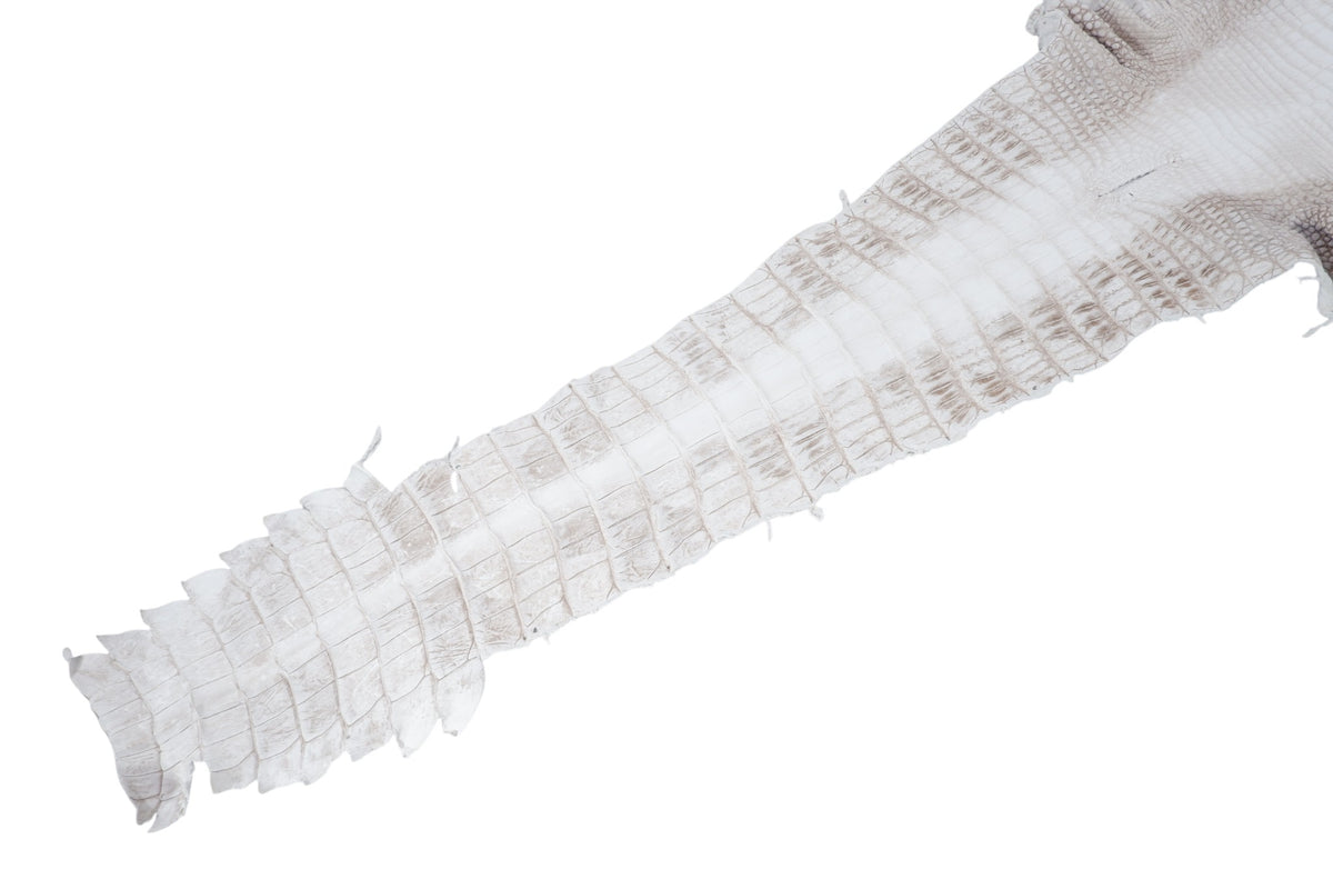 Genuine Crocodile Belly Skin Leather Hide Pelt