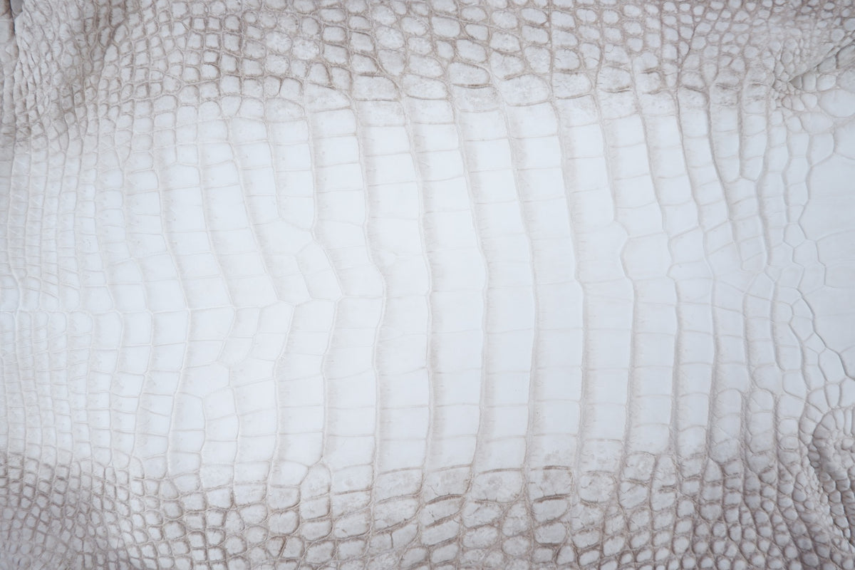 Genuine Crocodile Belly Skin Leather Hide Pelt