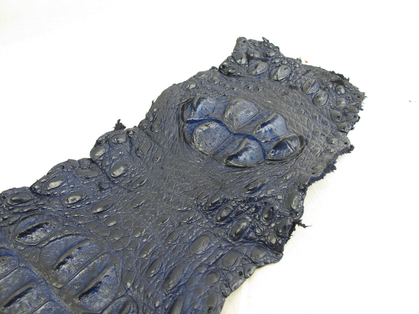 Genuine Crocodile Back Strap Skin Leather Hide Pelt