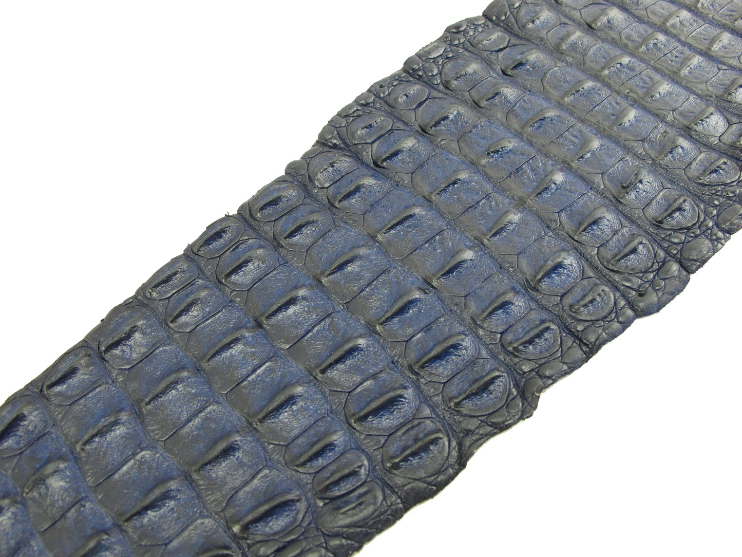 Genuine Crocodile Back Strap Skin Leather Hide Pelt