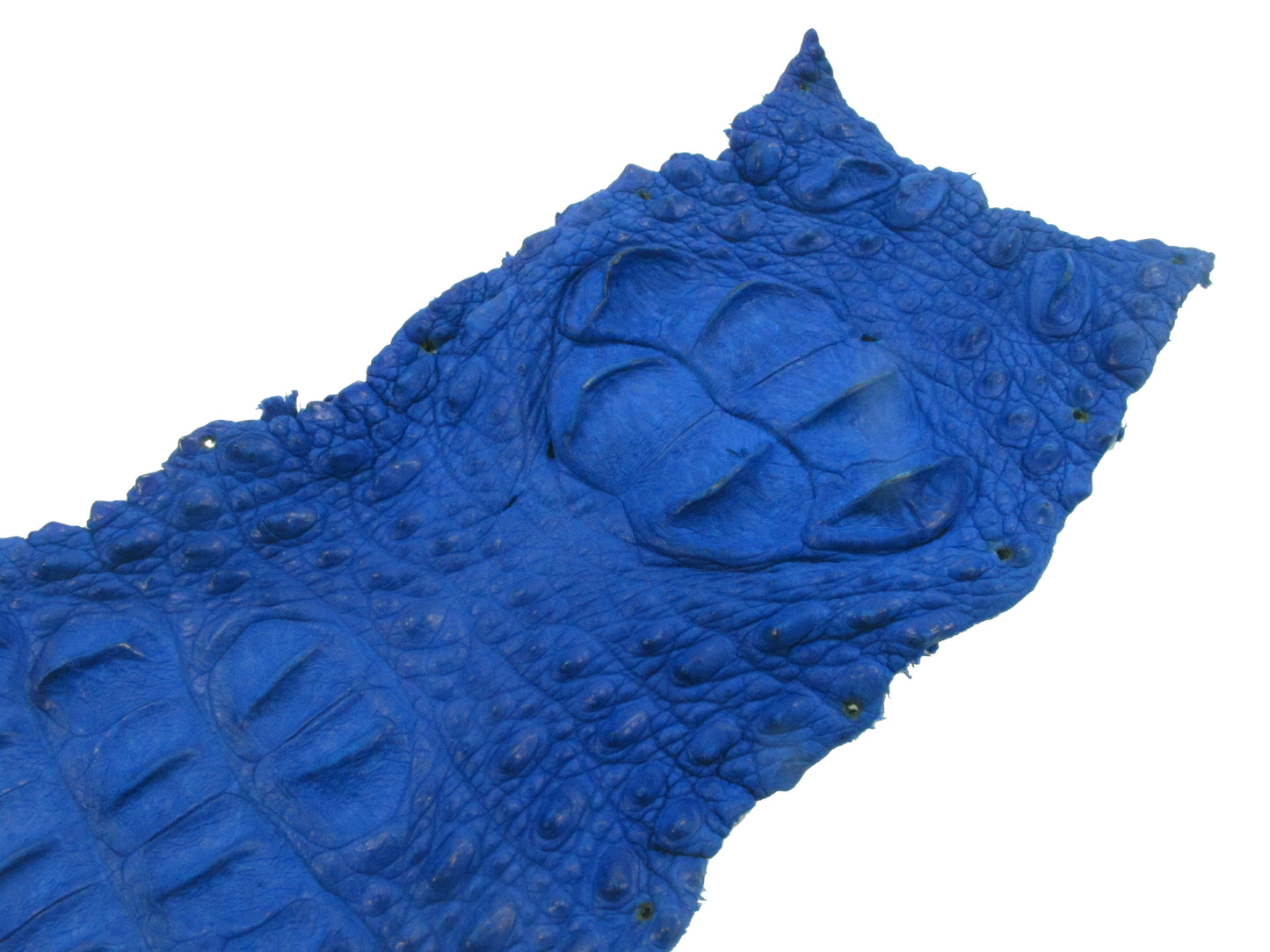 Genuine Crocodile Back Strap Skin Leather Hide Pelt