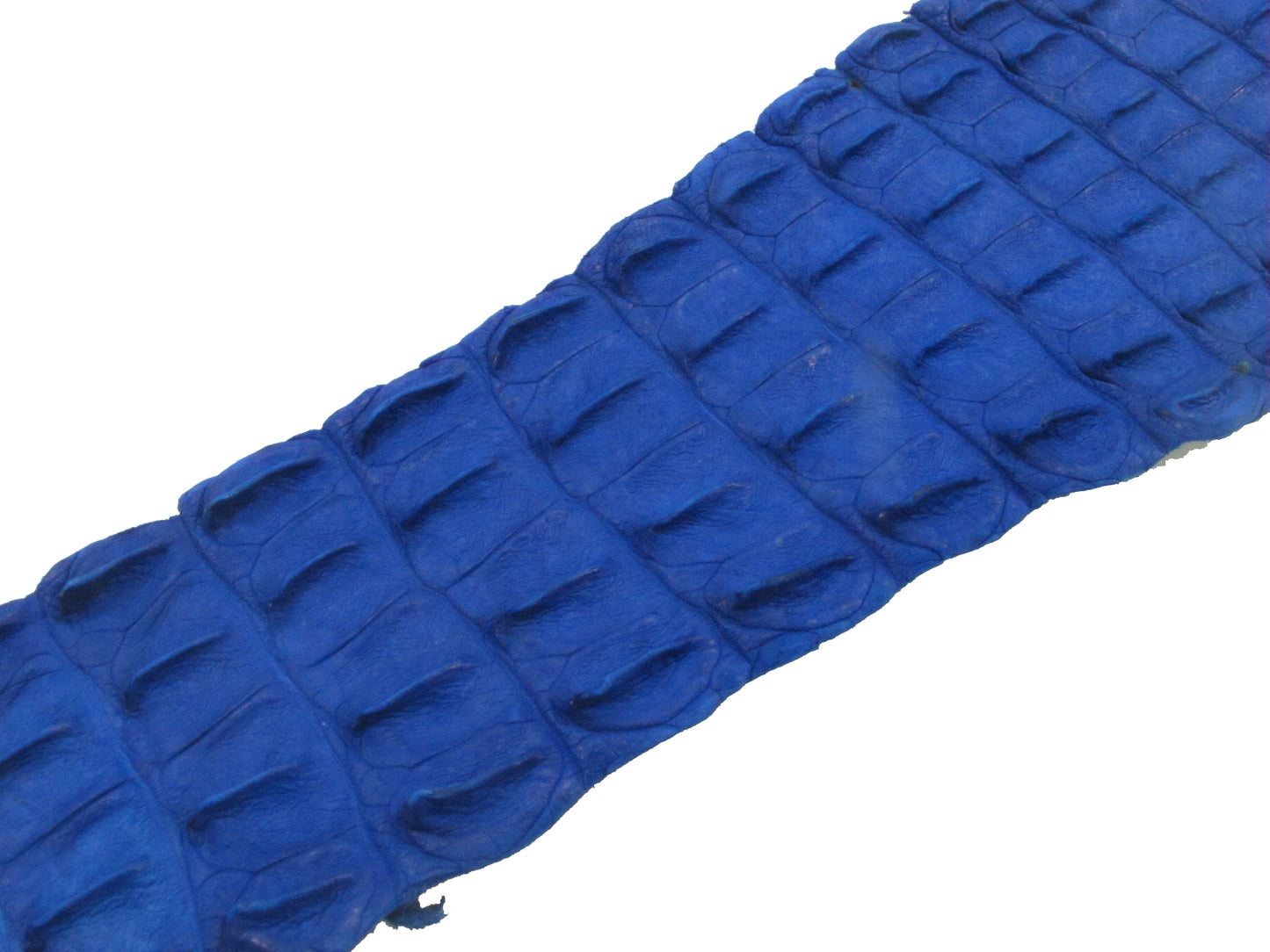 Genuine Crocodile Back Strap Skin Leather Hide Pelt