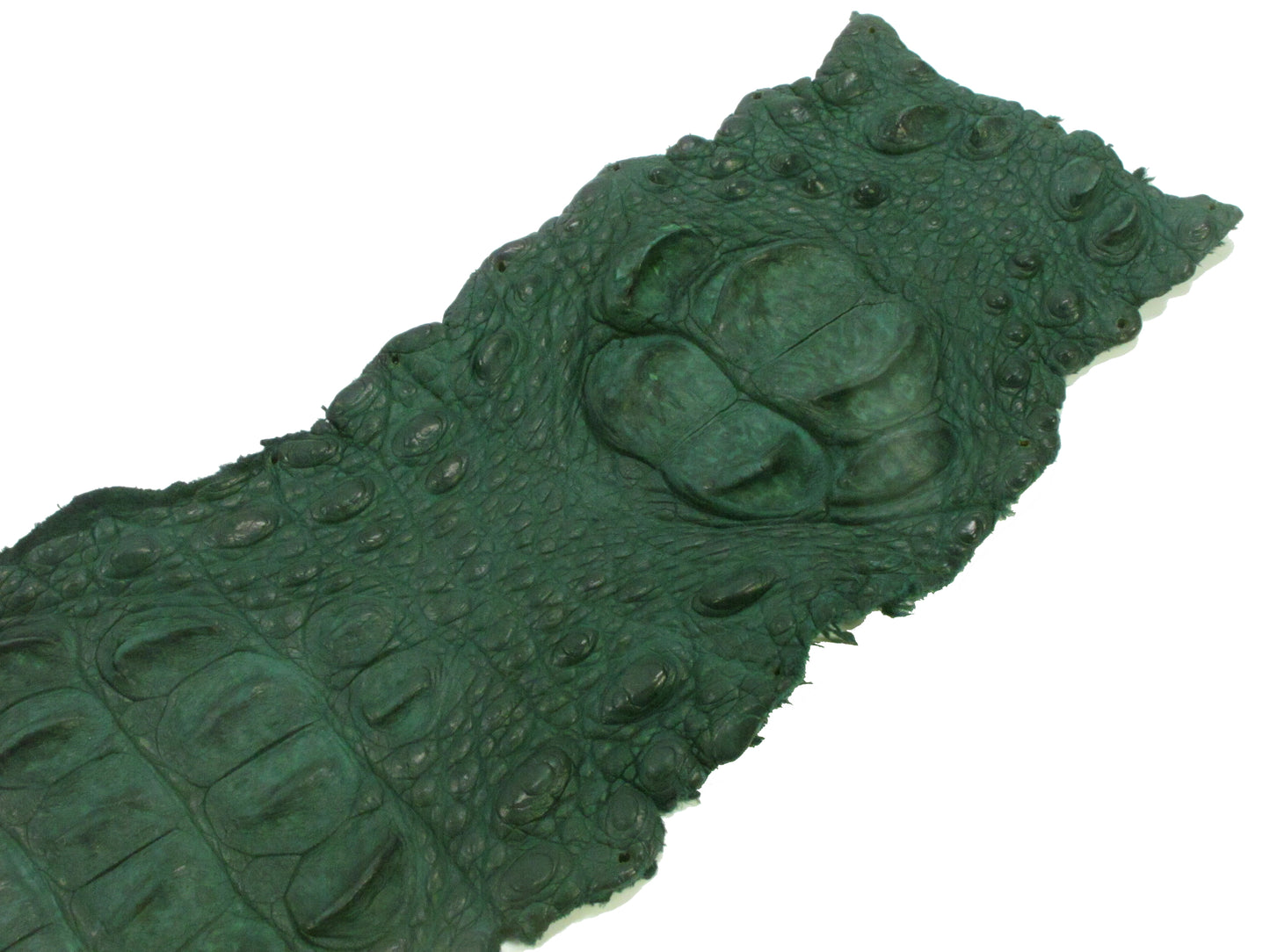 Genuine Crocodile Back Strap Skin Leather Hide Pelt