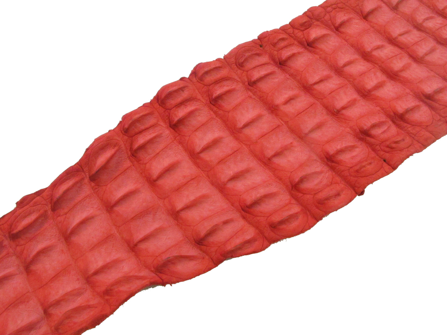 Genuine Crocodile Back Strap Skin Leather Hide Pelt