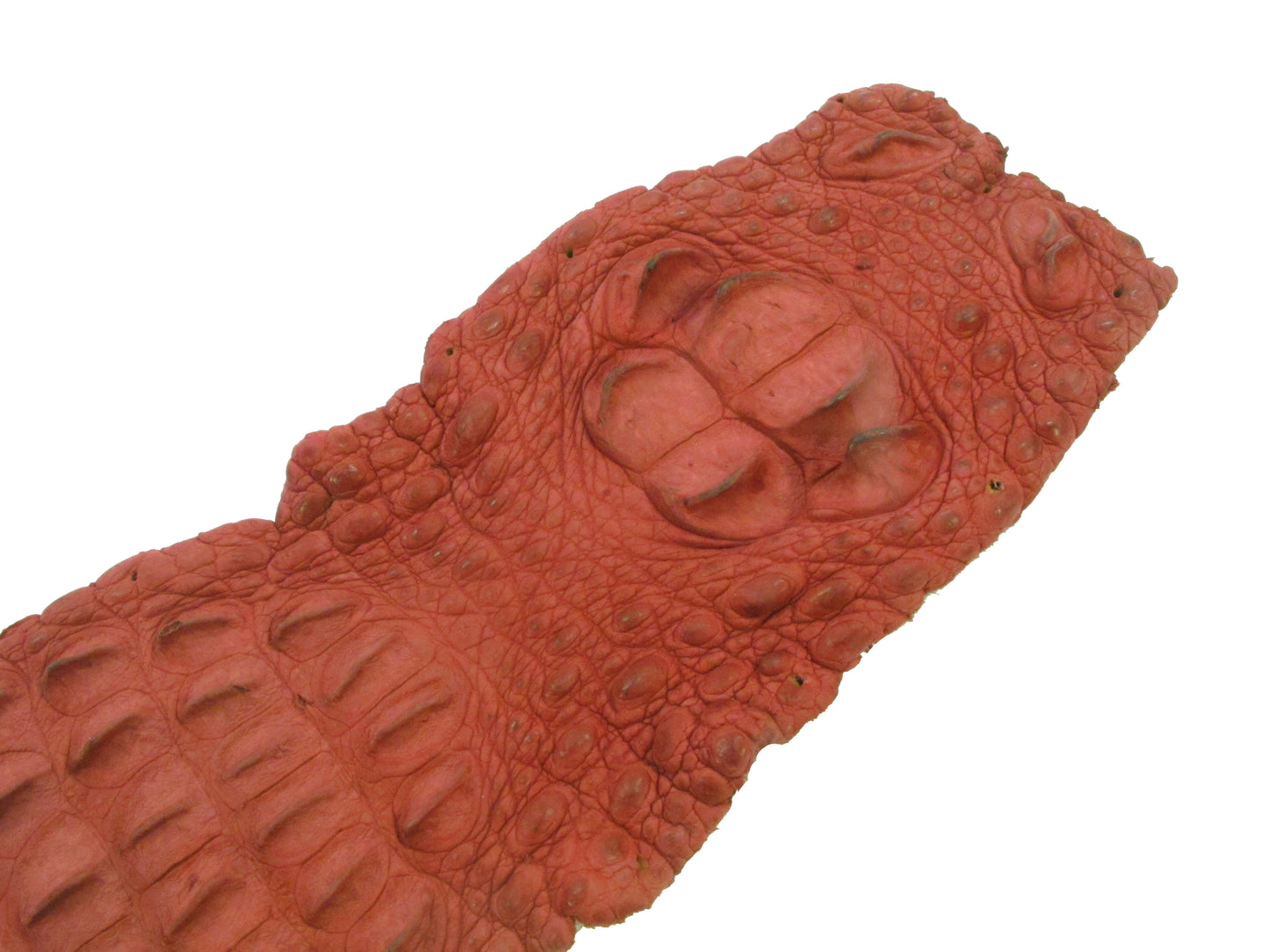 Genuine Crocodile Back Strap Skin Leather Hide Pelt