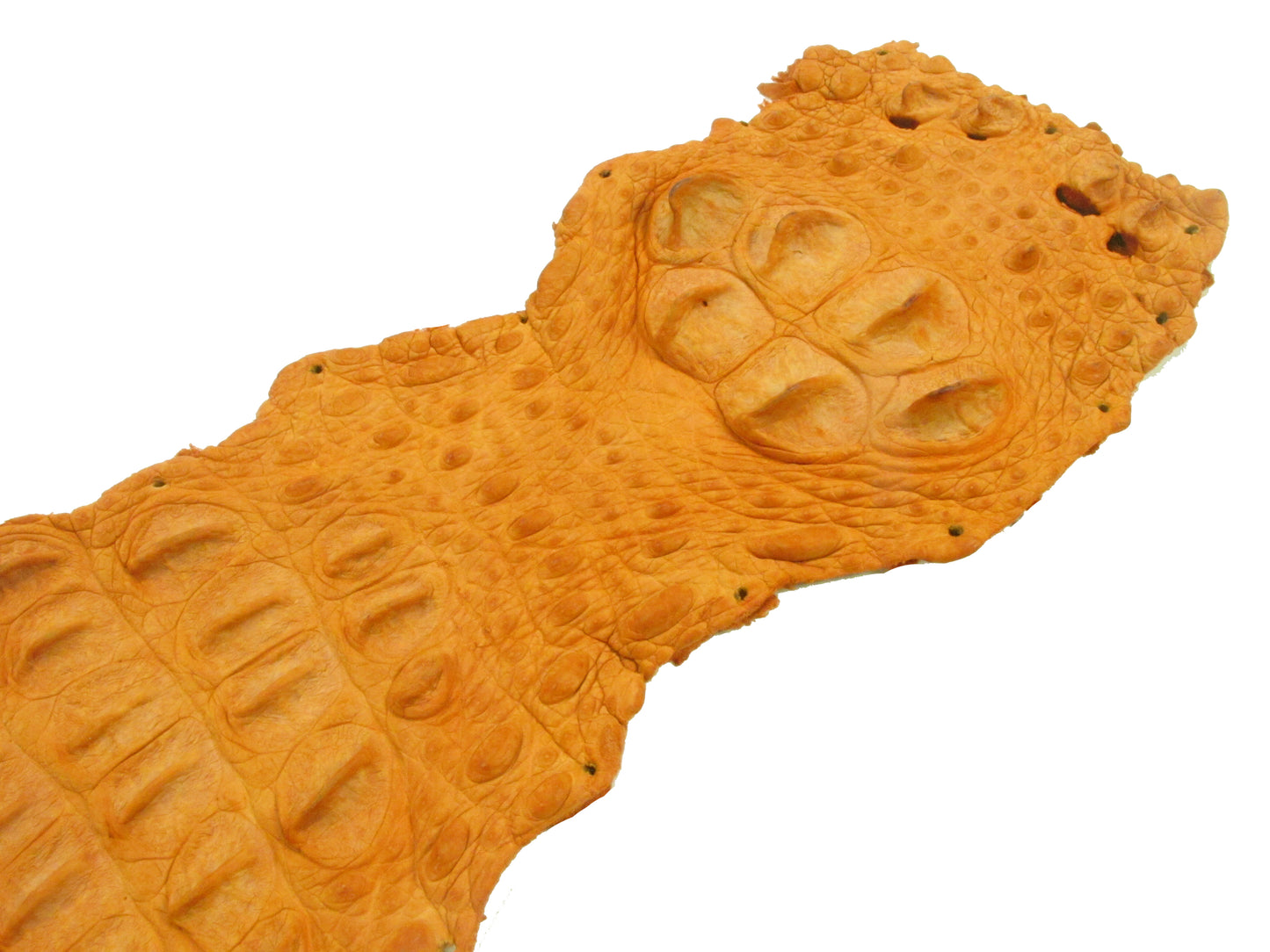 Genuine Crocodile Back Strap Skin Leather Hide Pelt