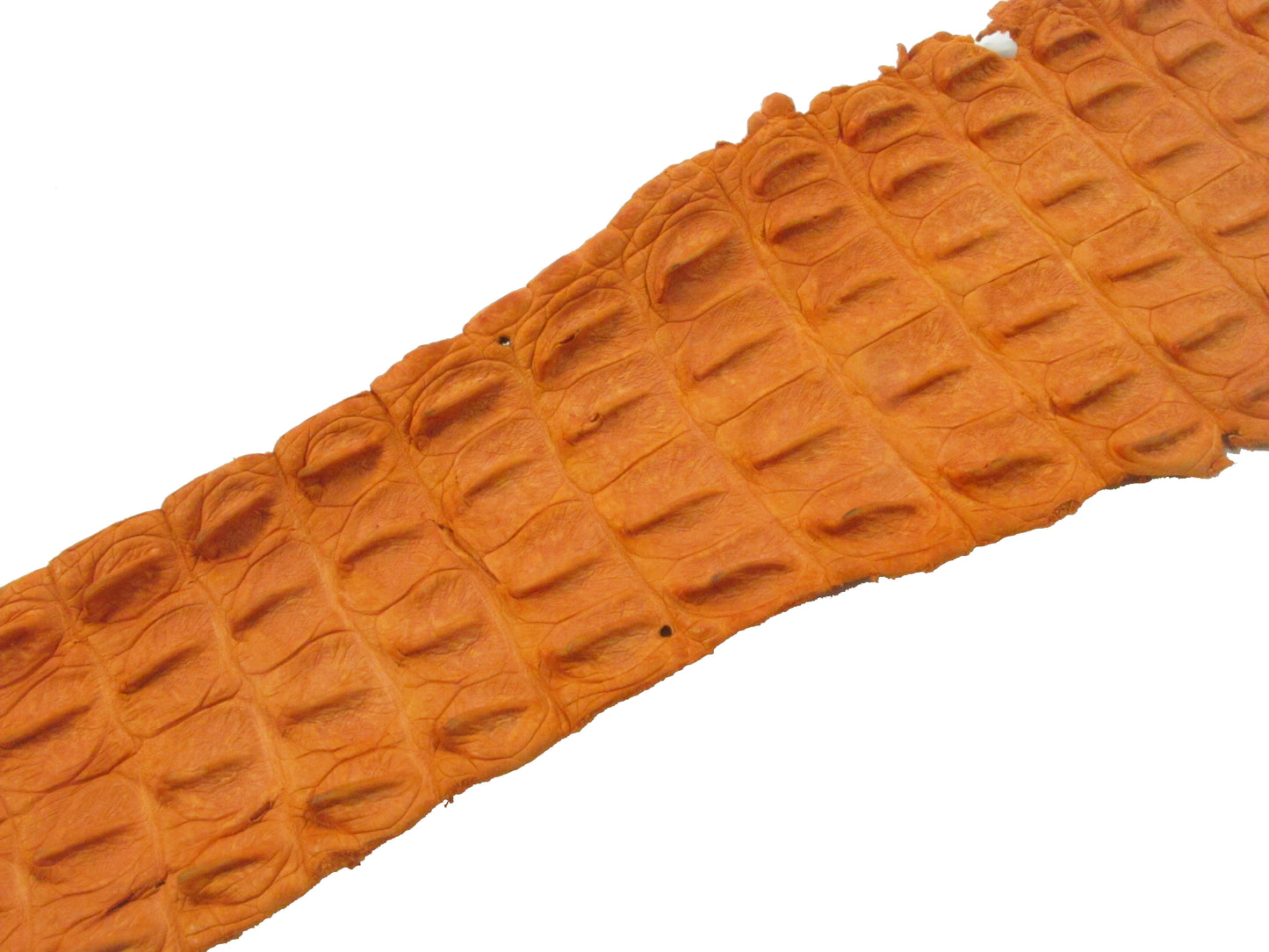 Genuine Crocodile Back Strap Skin Leather Hide Pelt