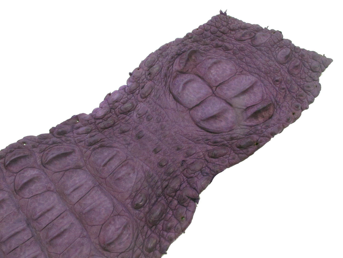 Genuine Crocodile Back Strap Skin Leather Hide Pelt