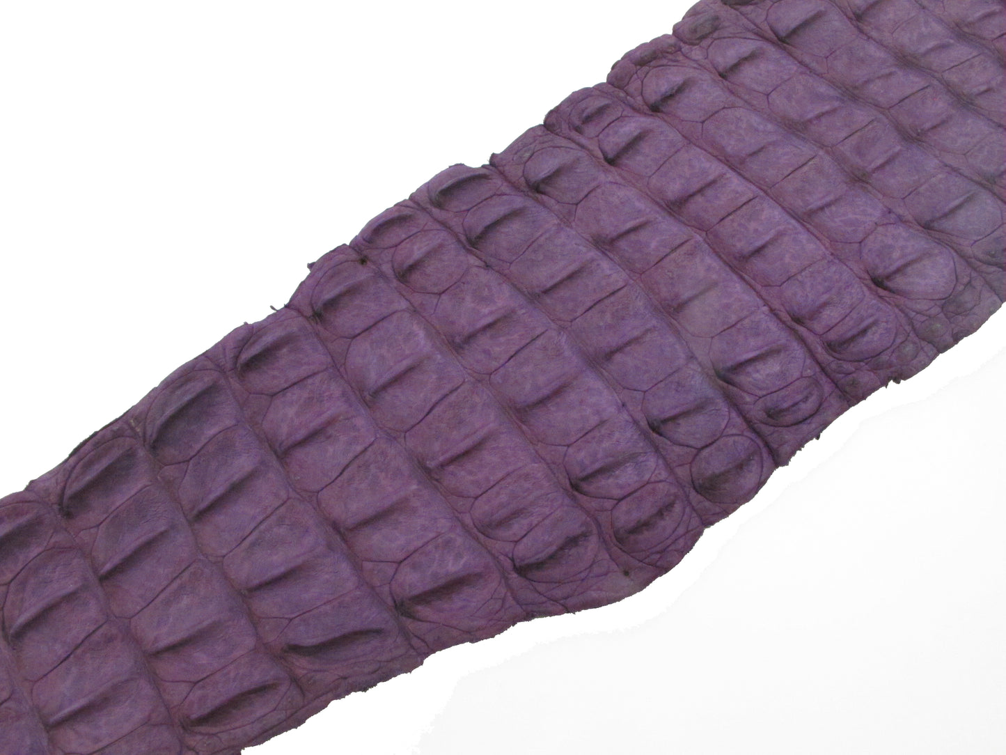 Genuine Crocodile Back Strap Skin Leather Hide Pelt