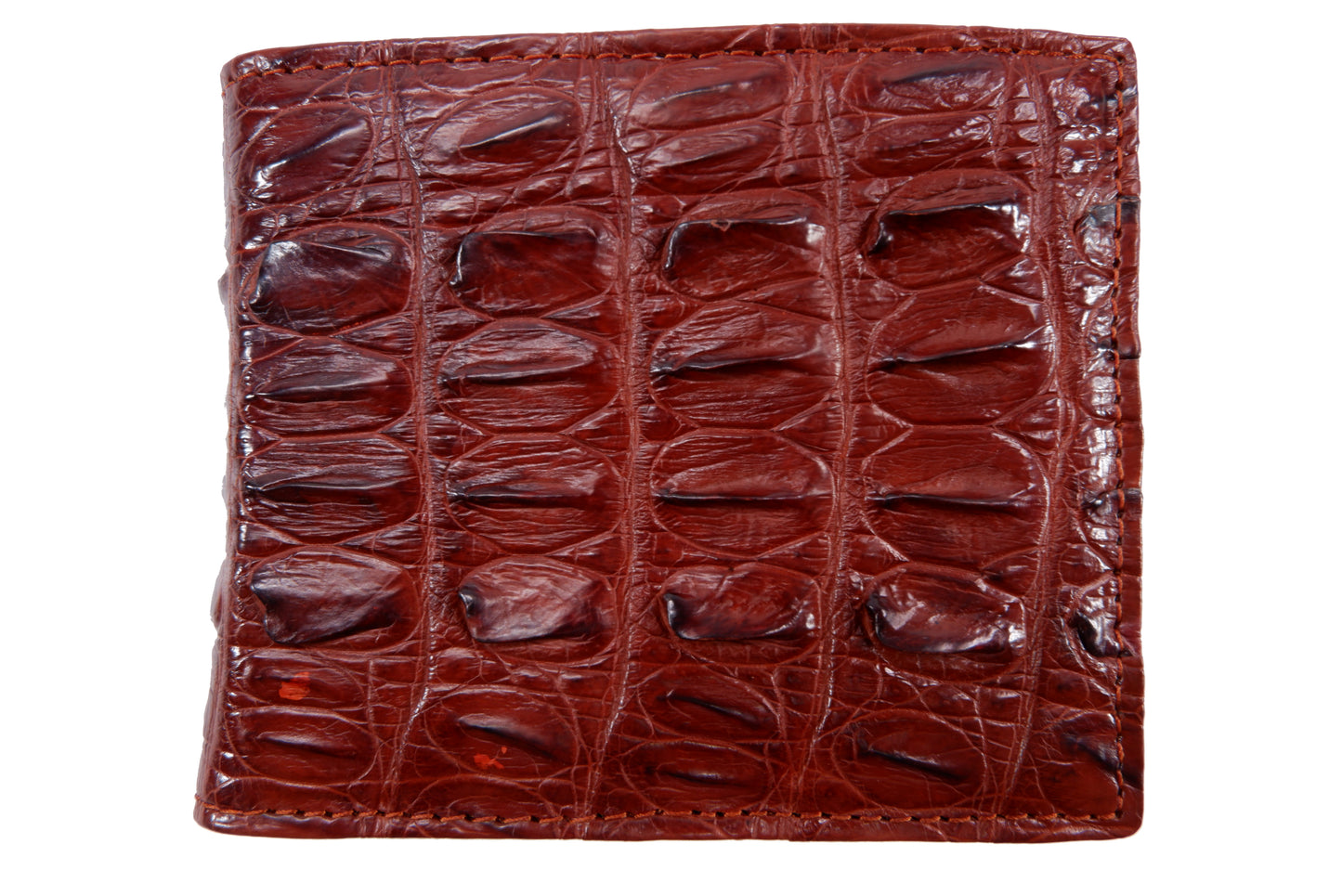 Genuine Crocodile Tail Skin Leather Bifold Wallet with Crocodile Skin Interior